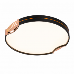 Modern Flush Ceiling Lights 24W LED CCT with Black Frame and Bronze/Copper Accents