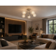 Globe Mesh Satin Chrome 5 Way Round Ceiling Decorative Light
